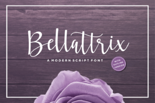 Bellattrix Font: Modern Script for High-Impact Campaigns