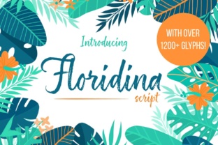 Floridina Font: Modern Brush Typography for Web Design