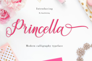 Princella Script Font for Modern Web Design and Branding