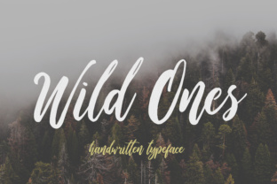 Wild Ones Font: Playful Script for Handmade Labels